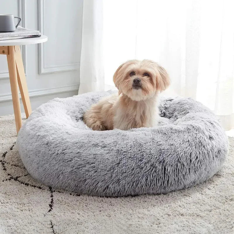 Nid rond pour animaux de compagnie