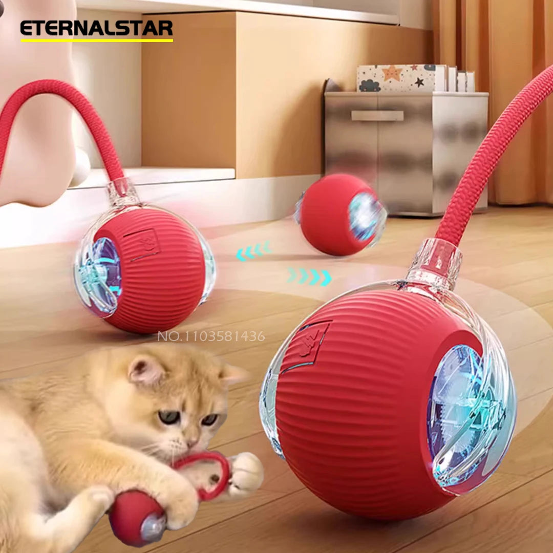 Nouvelle balle interactive rechargeable pour animaux de compagnie