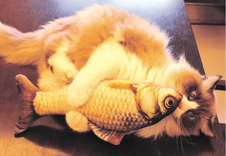 Jouet pour animaux de compagnie