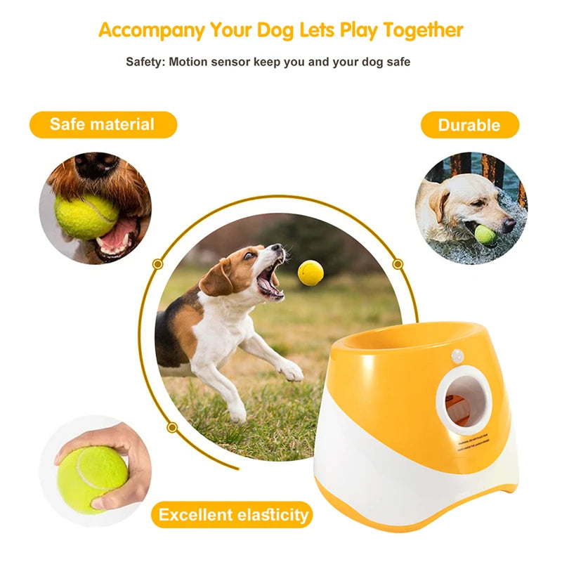 Lanceur de balle automatique de Tennis pour animaux de compagnie