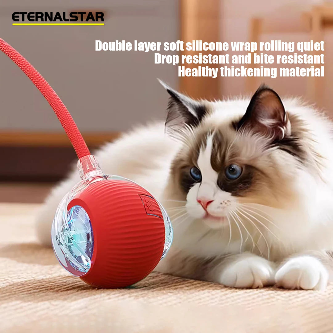 Nouvelle balle interactive rechargeable pour animaux de compagnie