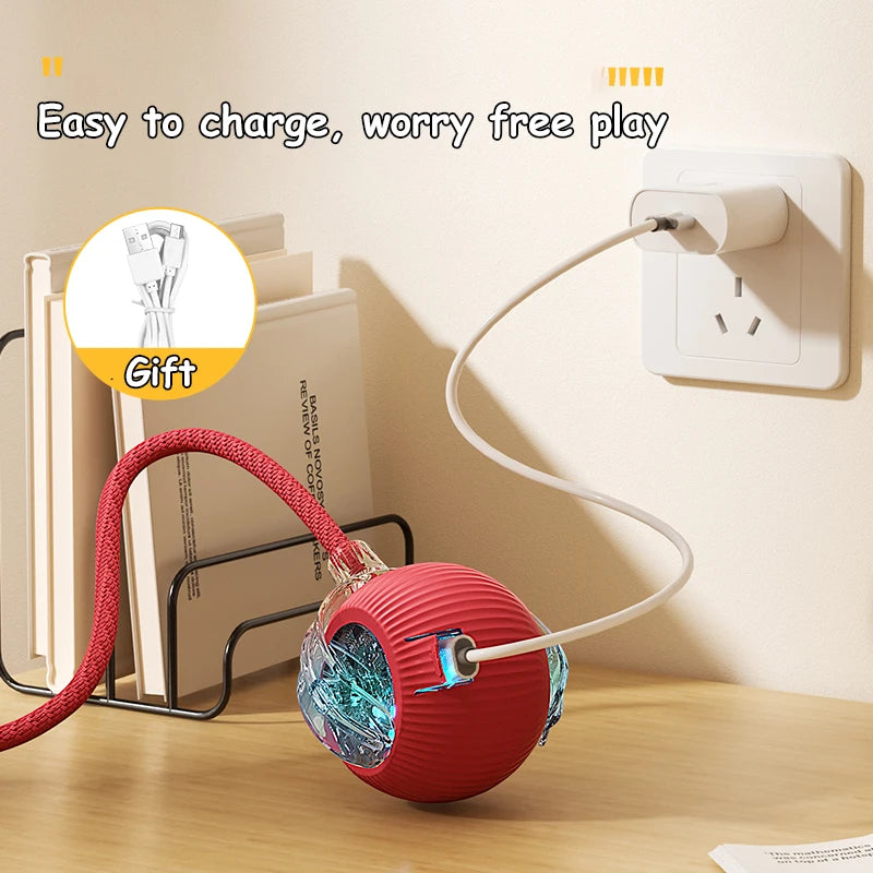 Nouvelle balle interactive rechargeable pour animaux de compagnie