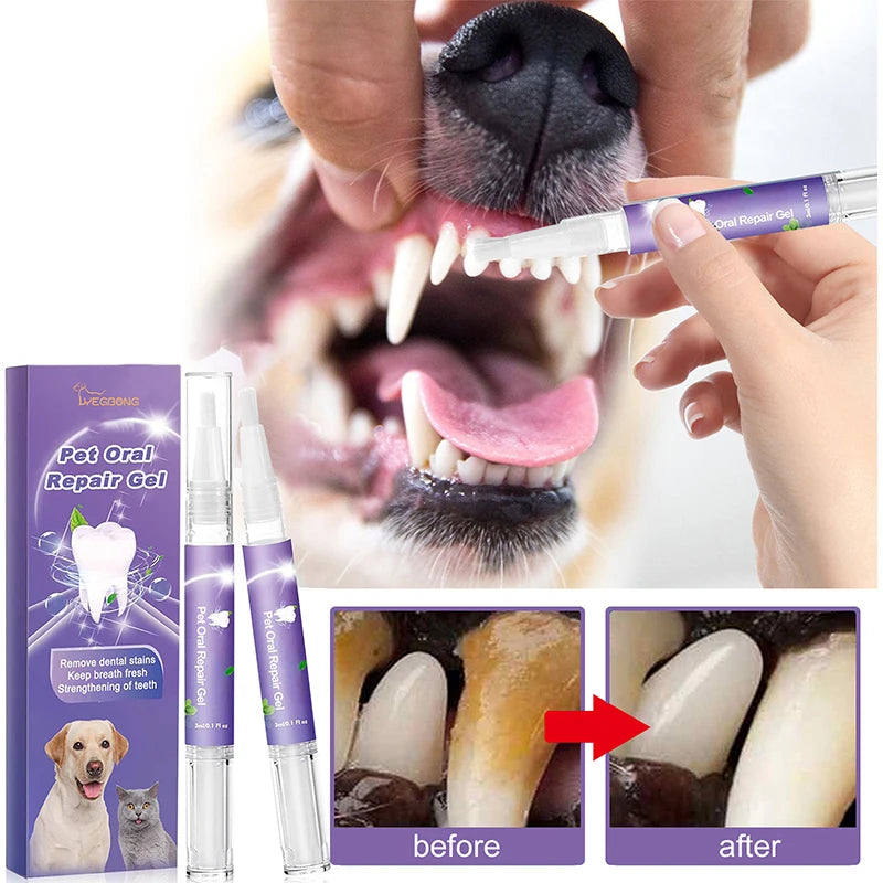Stylo de blanchiment des dents pour animaux de compagnie
