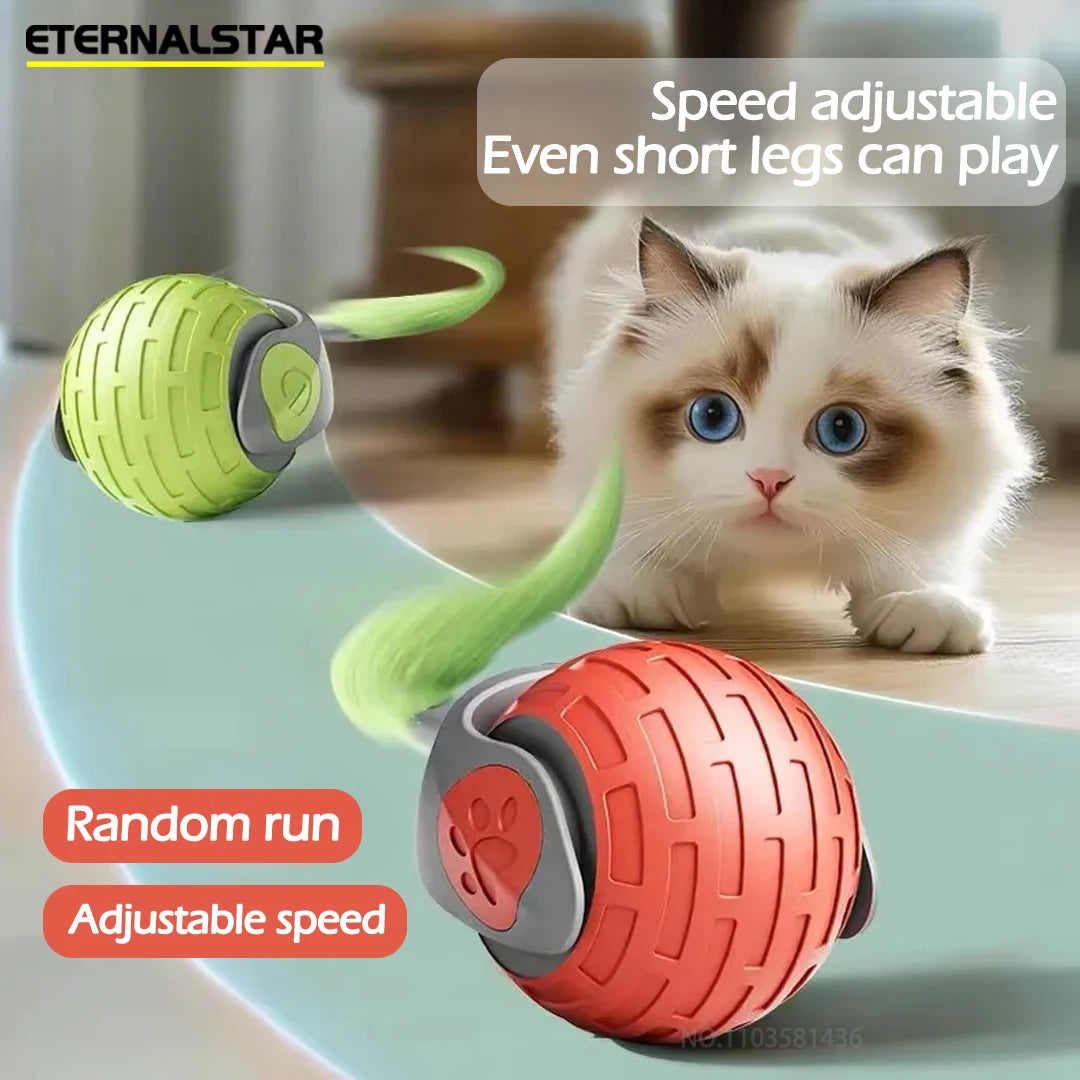 Nouvelle balle interactive rechargeable pour animaux de compagnie