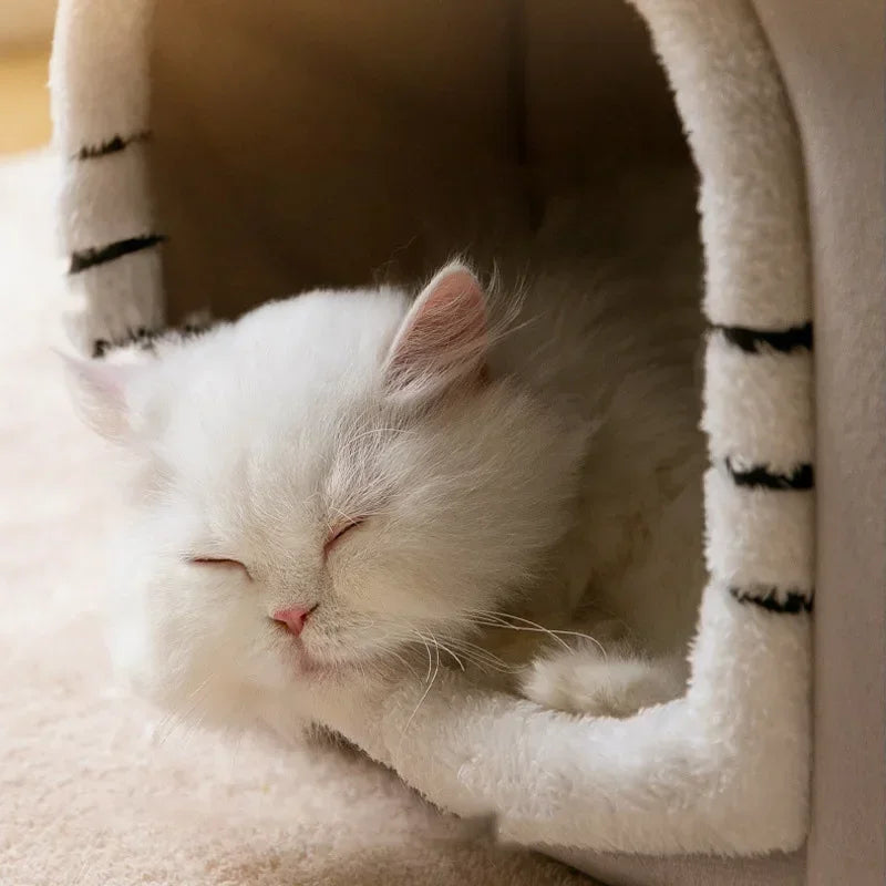 Niche pliable pour chats