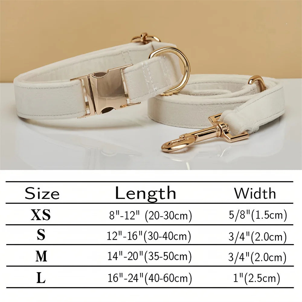 Collier Chien Personnalisé en Cuir – Gravure Nom & Téléphone | Boucle Métal Premium | Pour Petit, Moyen et Grand Chien