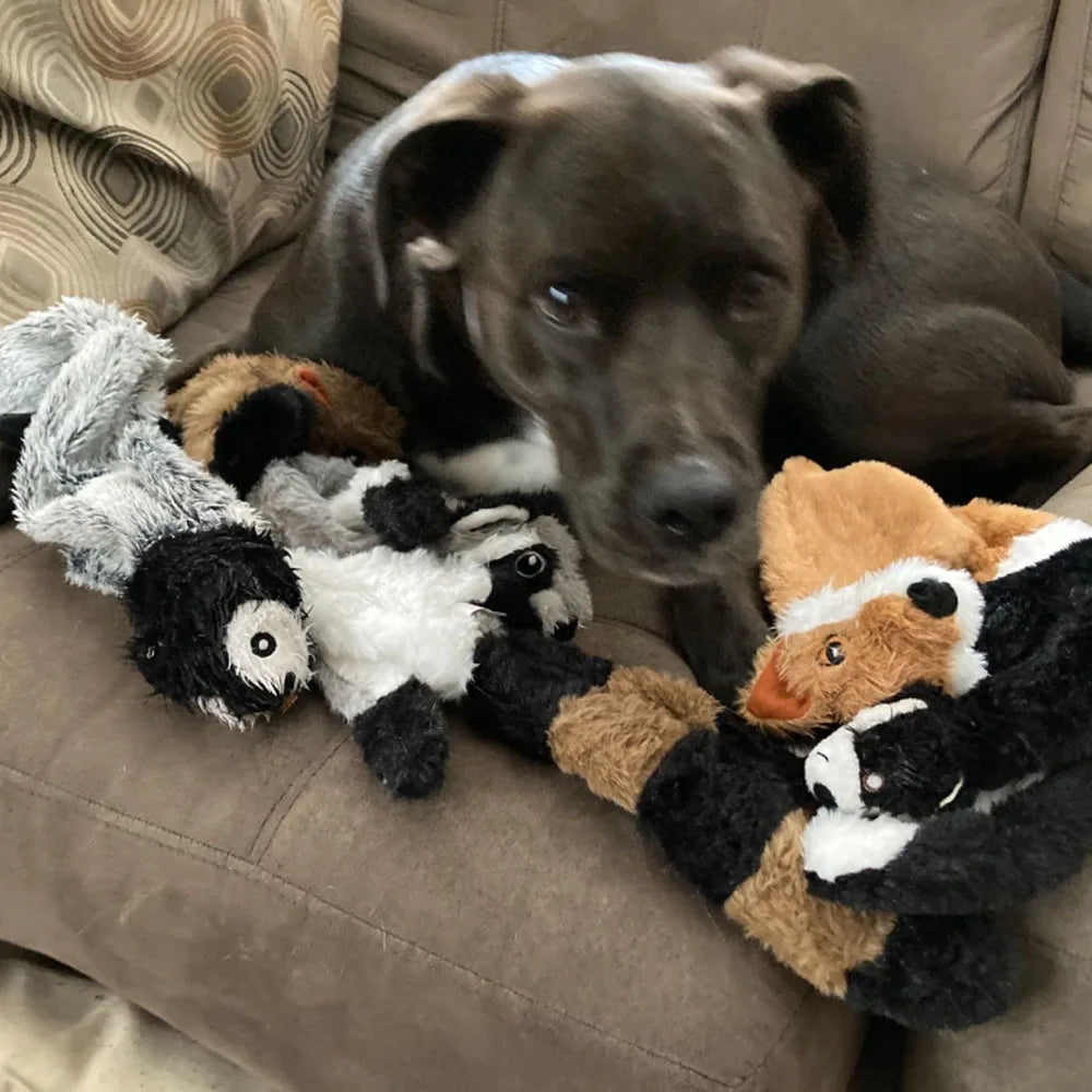 Jouet amusant pour chien, simulation d'animal sans rembourrage