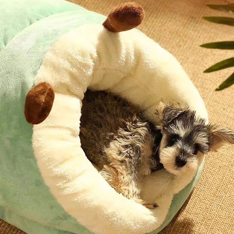 MADDEN chaud pour animaux de compagnie