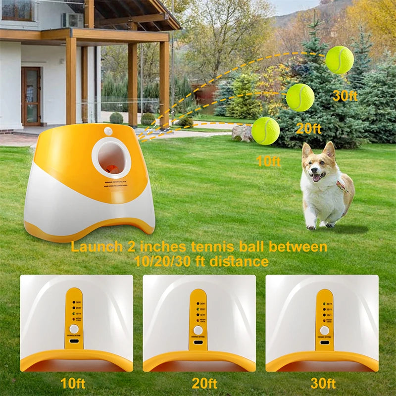 Lanceur de balle automatique de Tennis pour animaux de compagnie