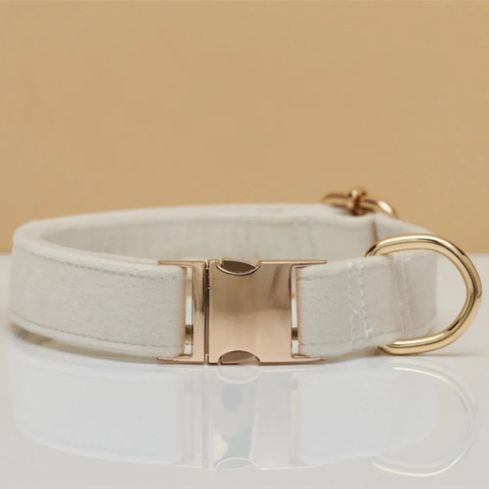 Collier Chien Personnalisé en Cuir – Gravure Nom & Téléphone | Boucle Métal Premium | Pour Petit, Moyen et Grand Chien