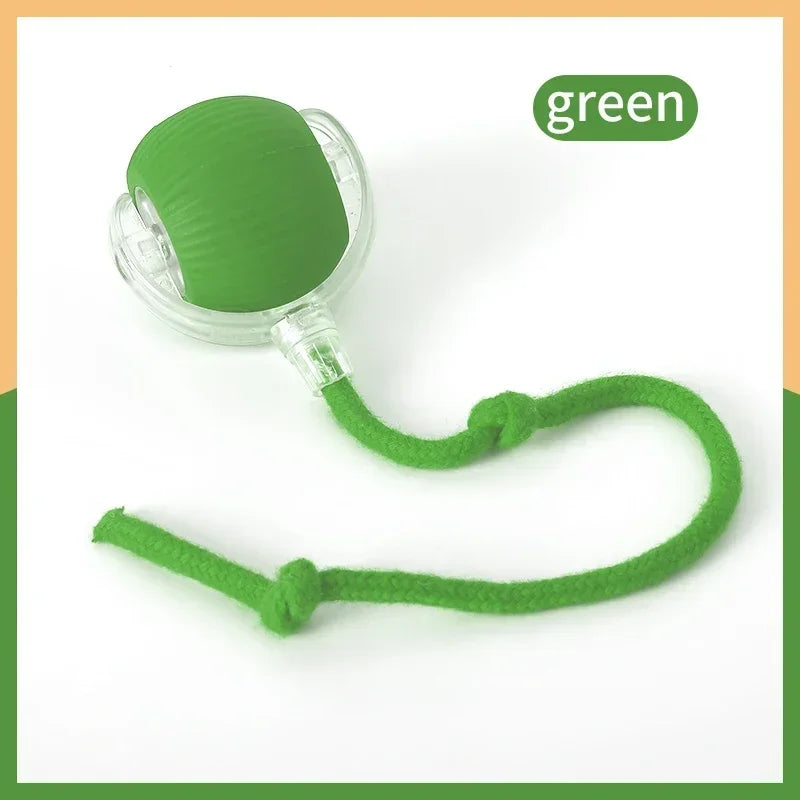 Nouvelle balle interactive rechargeable pour animaux de compagnie