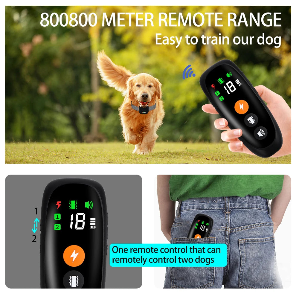 Collier électronique de dressage pour chien