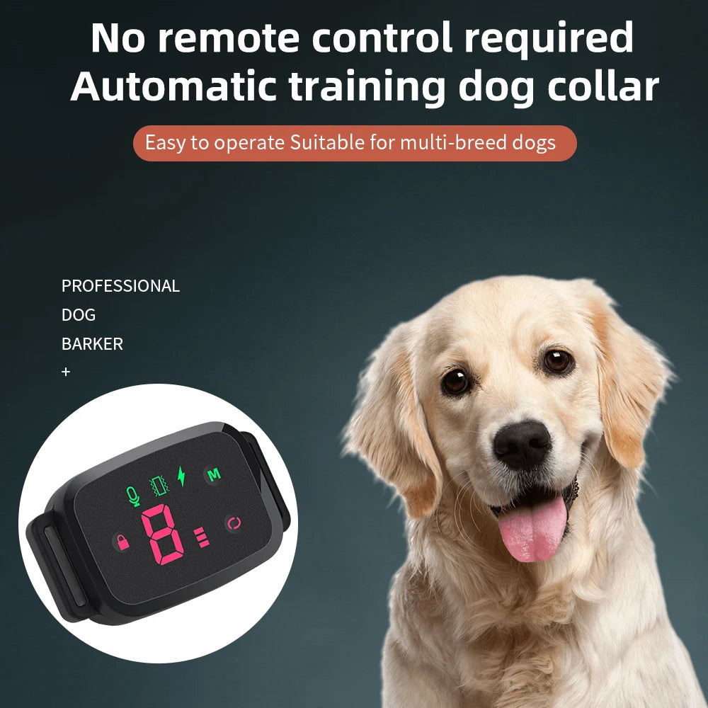 Collier Anti-aboiement automatique intelligent pour chien