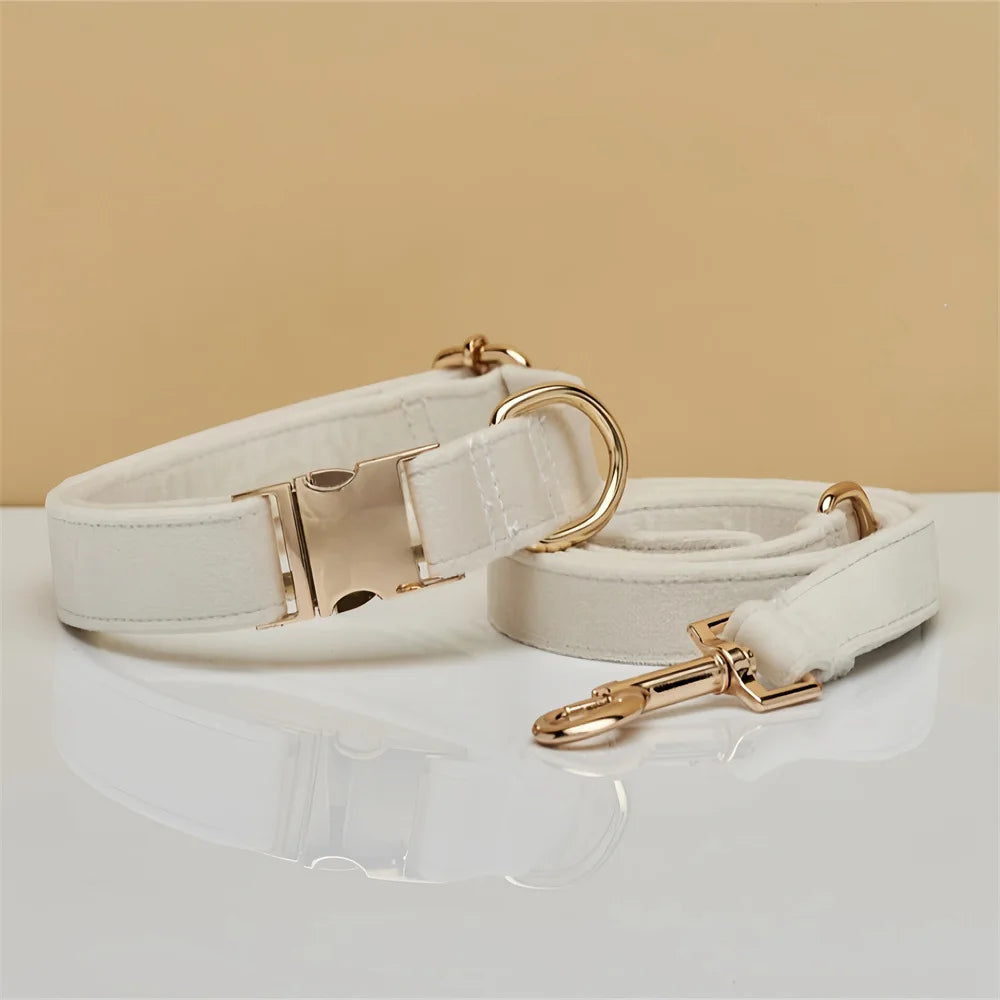 Collier Chien Personnalisé en Cuir – Gravure Nom & Téléphone | Boucle Métal Premium | Pour Petit, Moyen et Grand Chien