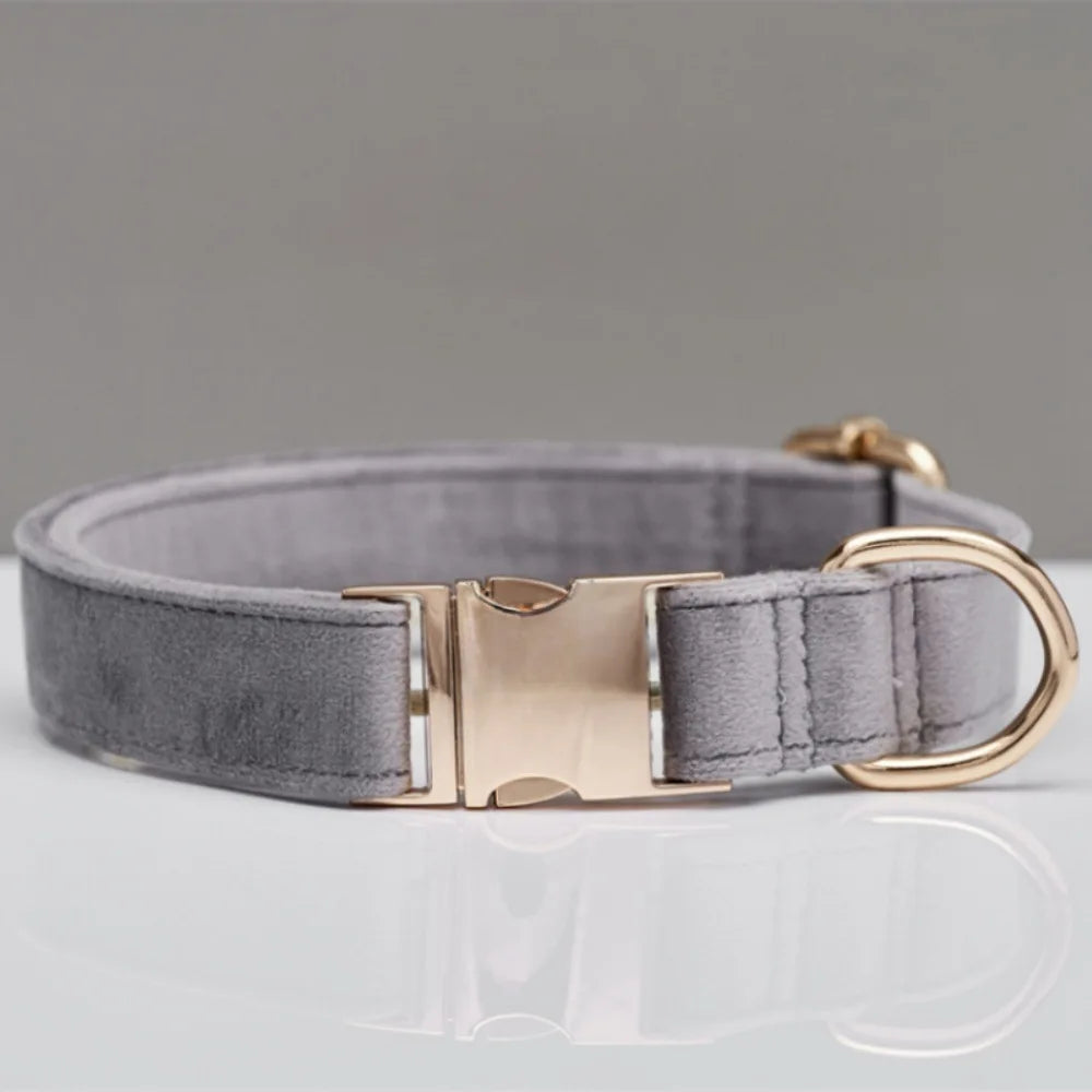 Collier Chien Personnalisé en Cuir – Gravure Nom & Téléphone | Boucle Métal Premium | Pour Petit, Moyen et Grand Chien