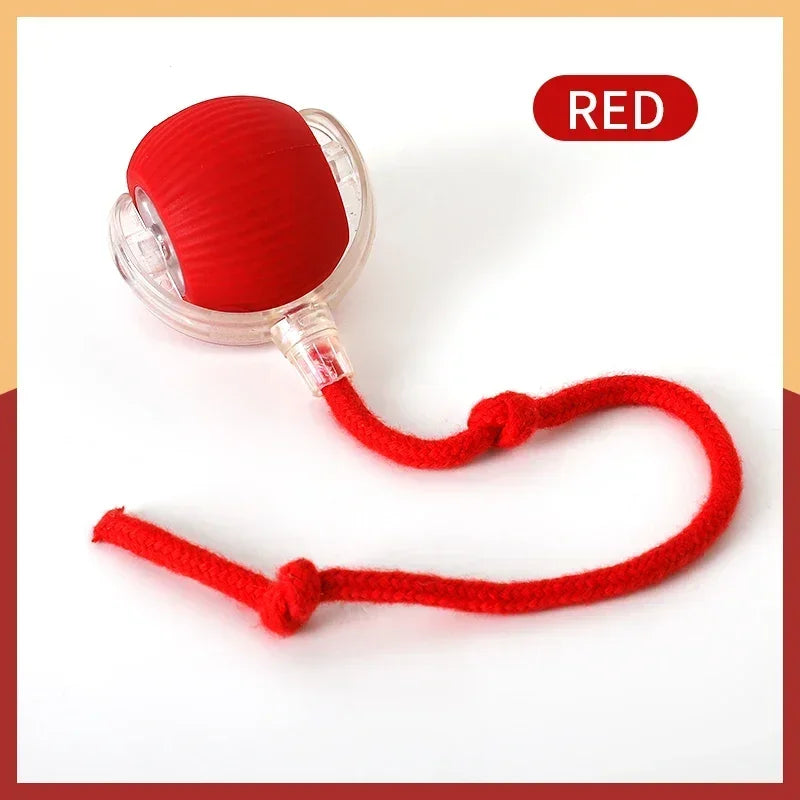 Nouvelle balle interactive rechargeable pour animaux de compagnie