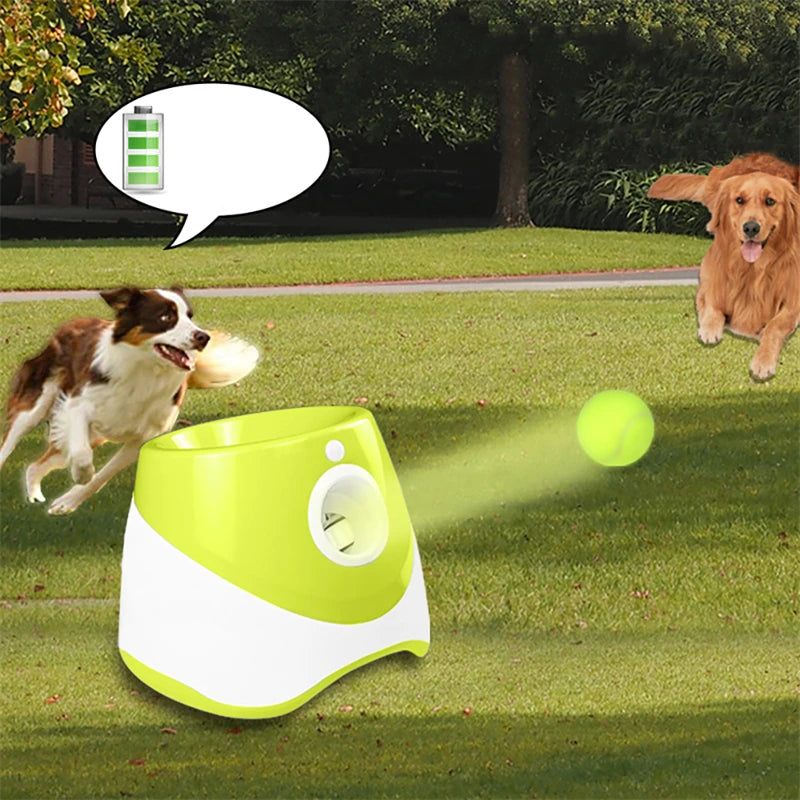 Lanceur de balle automatique de Tennis pour animaux de compagnie