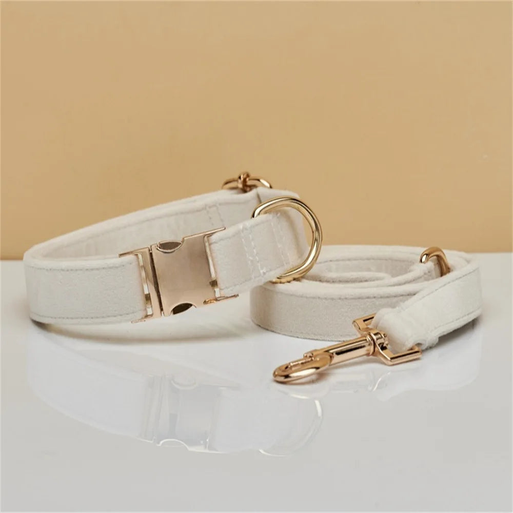 Collier Chien Personnalisé en Cuir – Gravure Nom & Téléphone | Boucle Métal Premium | Pour Petit, Moyen et Grand Chien