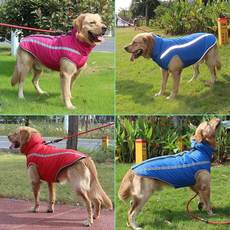 Vêtements imperméables pour grands chiens