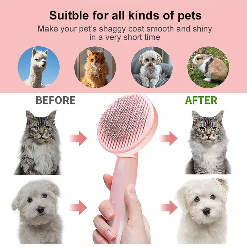 Brosse pour chat brosse de toilettage pour animaux de compagnie