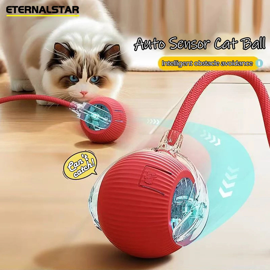 Nouvelle balle interactive rechargeable pour animaux de compagnie