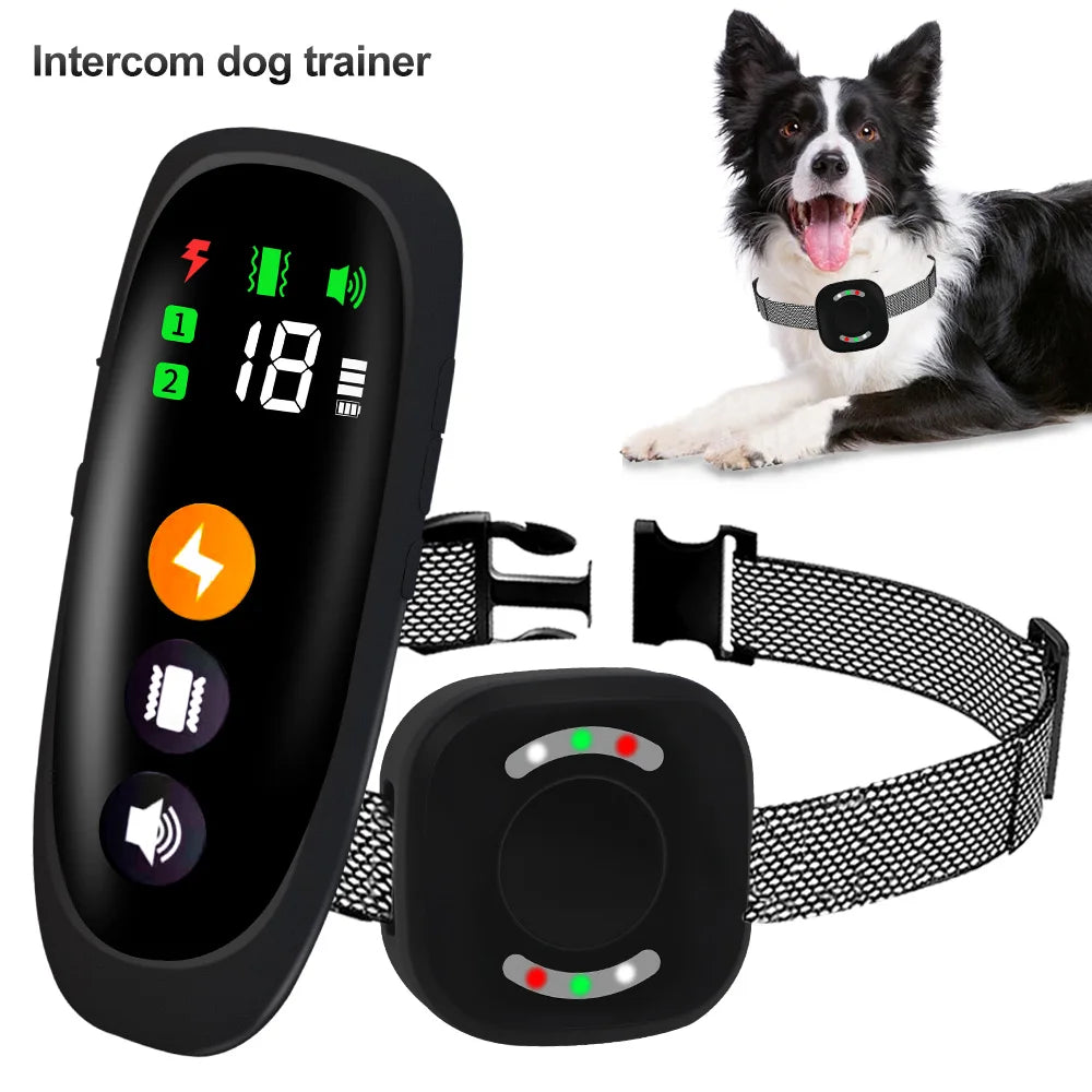 Collier électronique de dressage pour chien