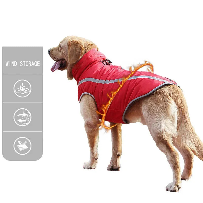 Vêtements imperméables pour grands chiens