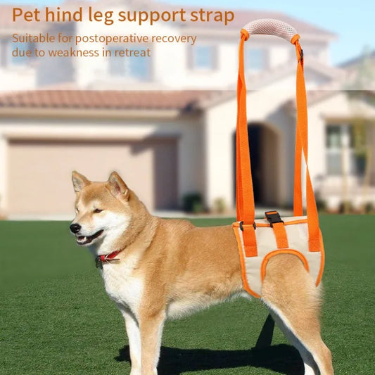 Harnais de levage ajustable pour chien Soutien des jambes et des hanches Accessoires pour animaux de compagnie