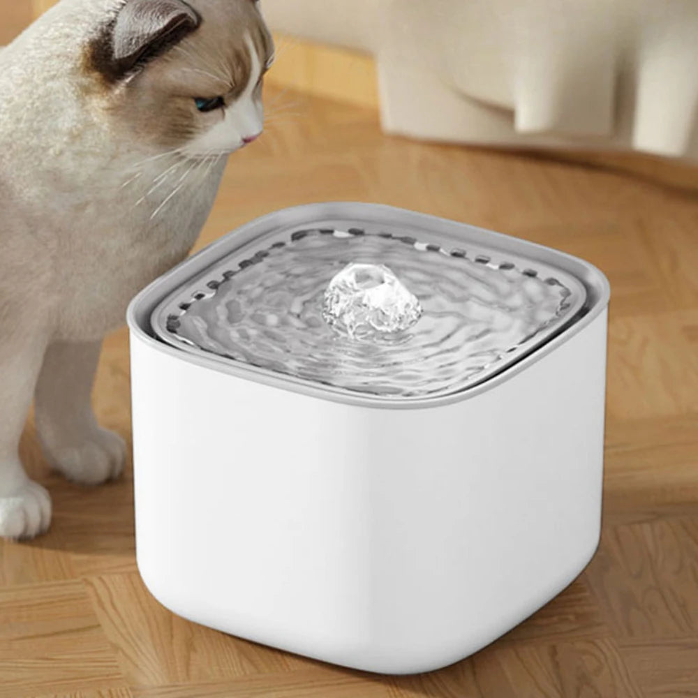 Fontaine à Eau Silencieuse pour Chat et Chien – 3 L