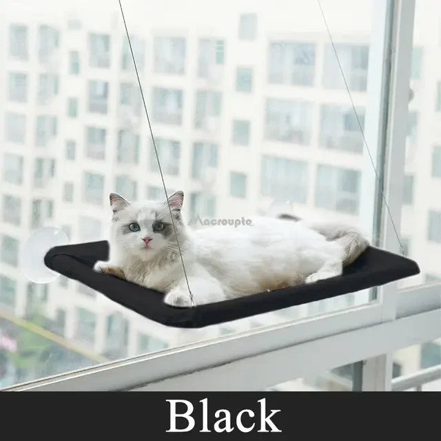Hamac pour Chat – Lit Suspendu Respirant & Confortable | 55×35cm | Jusqu’à 20kg