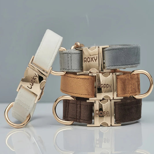 Collier Chien Personnalisé en Cuir – Gravure Nom & Téléphone | Boucle Métal Premium | Pour Petit, Moyen et Grand Chien