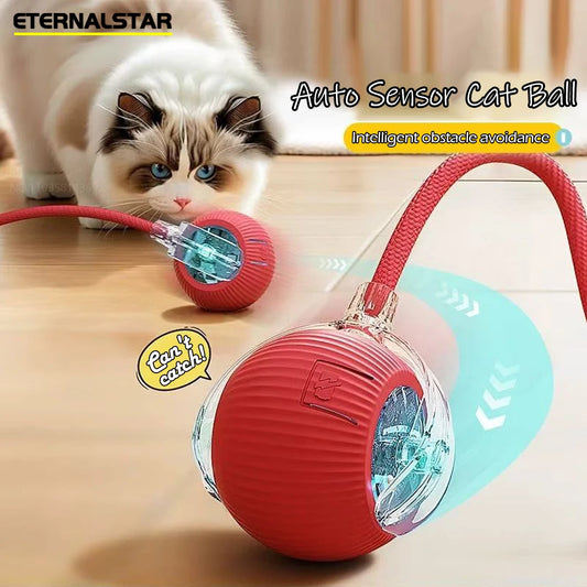 Nouvelle balle interactive rechargeable pour animaux de compagnie