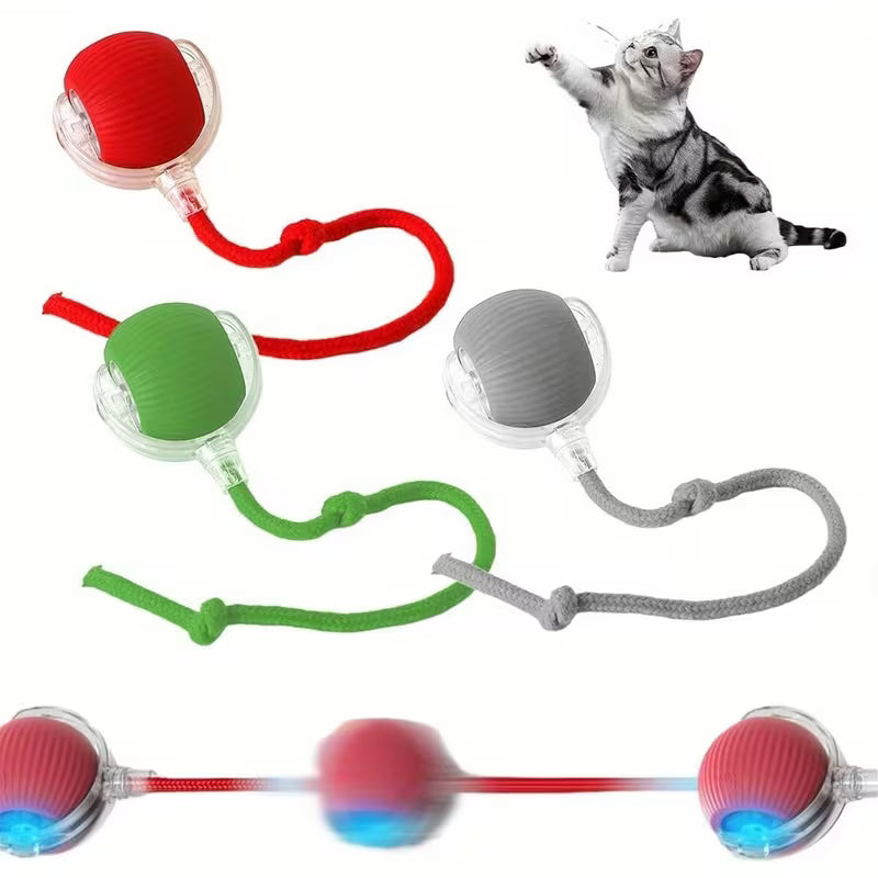 Nouvelle balle interactive rechargeable pour animaux de compagnie